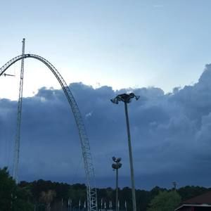 Meet your Posher, Dylan